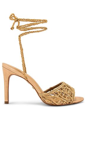 Paulo Heel in Neutral. - size 10 (also in 6, 6.5, 7, 7.5, 8, 8.5, 9, 9.5) - RAYE - Modalova