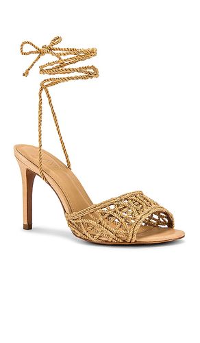 Paulo Heel in . Size 7. Also in 7.5, 8, 8.5, 9 - RAYE - Modalova