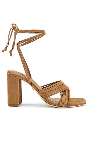 Gian Heel in . - size 10 (also in 5.5, 6, 7, 7.5, 8, 9, 9.5) - RAYE - Modalova