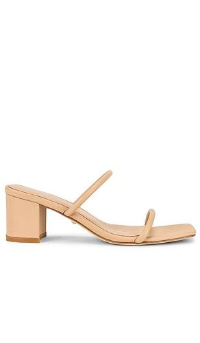 Etienne Heel in . - size 7 (also in 8) - RAYE - Modalova