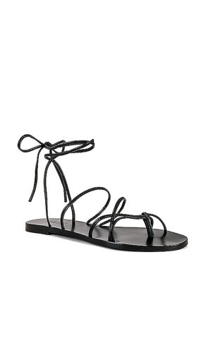 Spur Sandal in . - size 7 (also in 9.5) - RAYE - Modalova