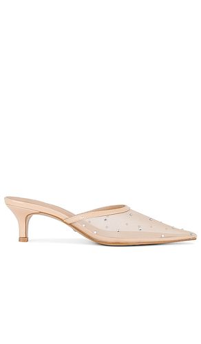 Anastasia Mule in . - size 5.5 (also in 6.5, 7, 7.5, 8, 8.5, 9.5) - RAYE - Modalova