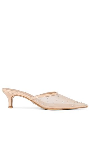 Anastasia Mule in . - size 6.5 (also in 7, 7.5, 8, 8.5, 9, 9.5) - RAYE - Modalova