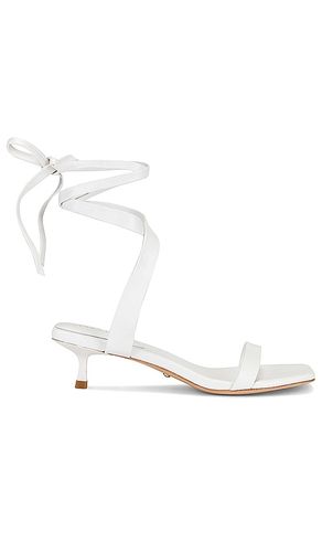 Ore Heel in . - size 5.5 (also in 6, 6.5, 7, 7.5) - RAYE - Modalova