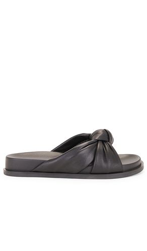 Brissa Slide in . - size 5 (also in 6, 7, 9) - RAYE - Modalova