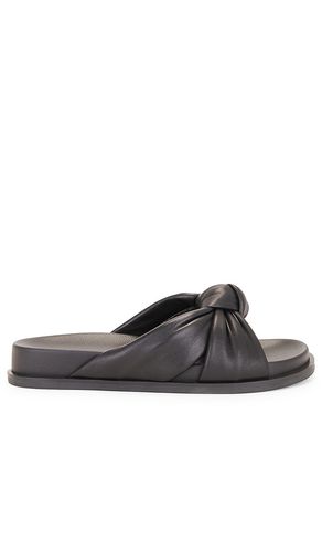 Brissa Slide in . - size 5 (also in 6, 8) - RAYE - Modalova