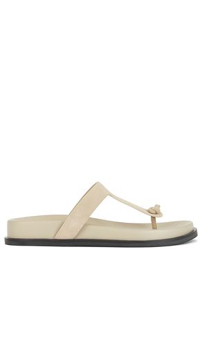 Channi Slide in . Size 6. Also in 7, 8, 9 - RAYE - Modalova