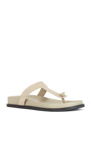 Channi Slide in . Size 7. Also in 8, 9 - RAYE - Modalova