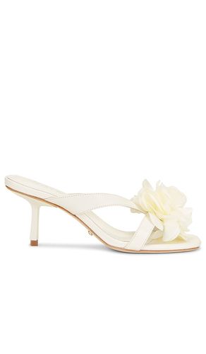 Flor Heel in . Size 6. Also in 6.5, 7, 7.5, 8, 8.5, 9, 10 - RAYE - Modalova