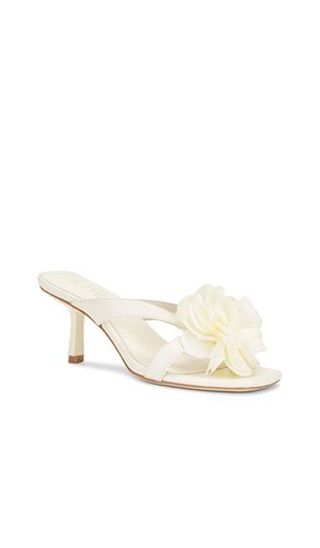 Flor Heel in . Size 10. Also in 6, 6.5, 7, 7.5, 8, 8.5, 9, 9.5 - RAYE - Modalova