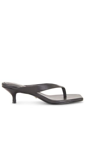 Perla Kitten Heel in . - size 5.5 (also in 6.5, 7, 7.5, 9) - RAYE - Modalova