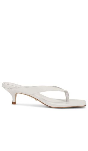 Perla Kitten Heel in . - size 8.5 (also in 9) - RAYE - Modalova