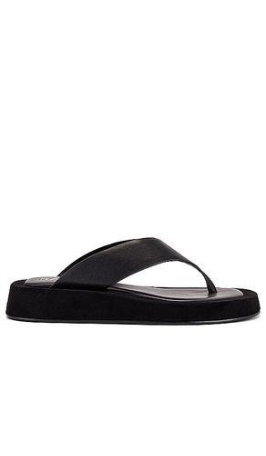 Chris Sandal in . - size 6 (also in 5, 7, 8, 9) - RAYE - Modalova