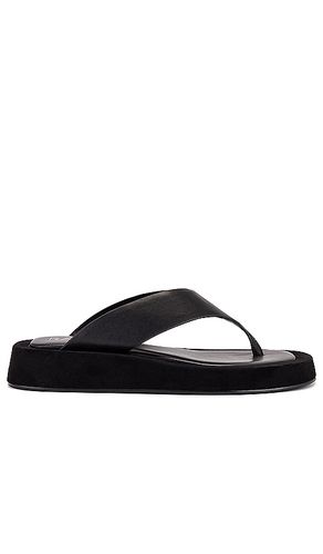 Chris Sandal in . - size 6 (also in 5, 8) - RAYE - Modalova