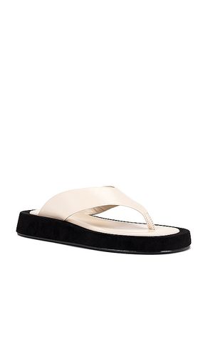 Chris Sandal in . Size 6. Also in 5, 7, 9 - RAYE - Modalova