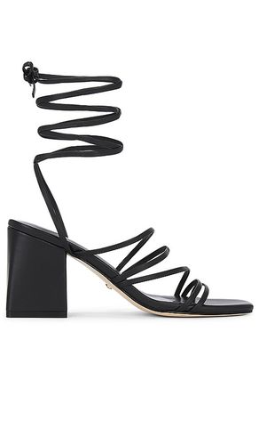 Saorise Heel in . - size 10 (also in 5.5, 6, 6.5, 7, 7.5, 8, 8.5, 9) - RAYE - Modalova