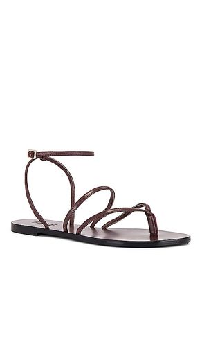 Void sandal in color brown size 7 (also in 8) - RAYE - Modalova