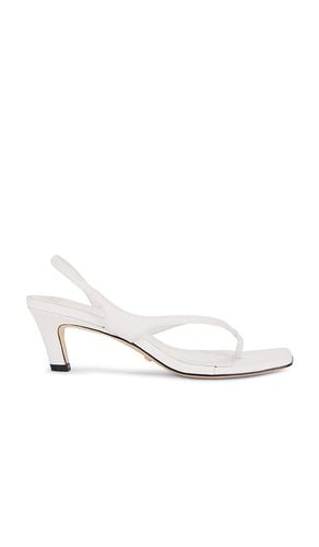 Prue Sandal in . - size 10 (also in 5, 6, 7, 8, 9) - RAYE - Modalova