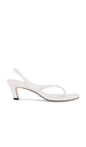 Prue Sandal in . - size 5 (also in 6, 7, 8, 9) - RAYE - Modalova