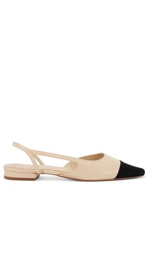 Dorit Flat in . - size 10 (also in 5.5, 6, 6.5, 7, 7.5, 8, 8.5, 9, 9.5) - RAYE - Modalova