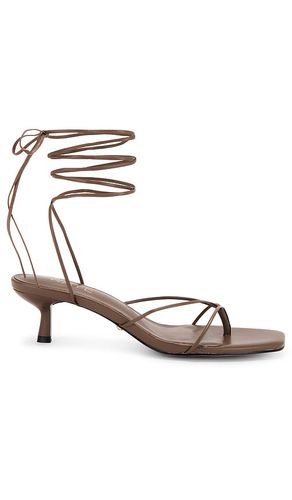 Jaden Sandal in Taupe. - size 10 (also in 5.5, 6, 6.5, 7, 7.5, 8, 8.5, 9, 9.5) - RAYE - Modalova