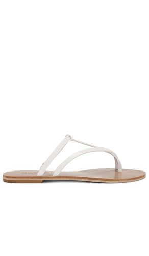 Pina Sandal in . - size 5.5 (also in 6, 6.5, 7, 8, 8.5, 9, 9.5) - RAYE - Modalova