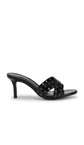 Rocco Sandal in . - size 10 (also in 5.5, 6, 6.5, 7, 7.5, 8, 8.5, 9.5) - RAYE - Modalova