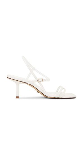 Riley Sandal in . - size 10 (also in 5.5, 6, 6.5, 7, 7.5, 8, 8.5, 9, 9.5) - RAYE - Modalova