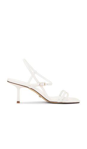 Riley Sandal in . - size 10 (also in 6, 7.5) - RAYE - Modalova