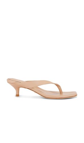 Perla Kitten Heel in . - size 7 (also in 7.5) - RAYE - Modalova