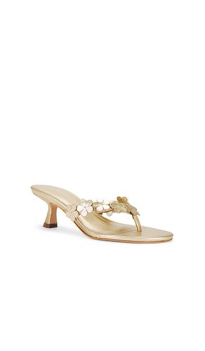 Zoey Sandal in Metallic Gold. - size 10 (also in 5.5, 6, 7, 7.5, 8.5, 9) - RAYE - Modalova