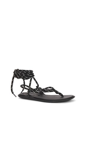 Lillie Sandal in . Size 6. Also in 9 - RAYE - Modalova