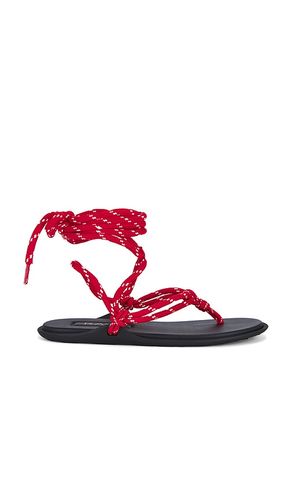 Lillie Sandal in ,. - size 10 (also in 6, 7, 8) - RAYE - Modalova