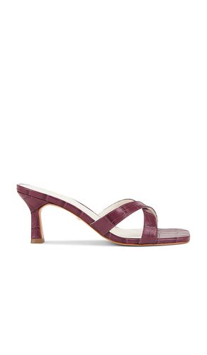 Sydney Sandal in . - size 5.5 (also in 6, 6.5, 7, 7.5, 8, 8.5, 9, 9.5) - RAYE - Modalova