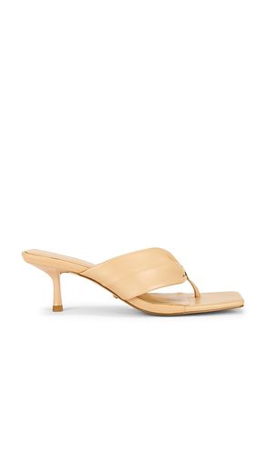 Ivanova Sandal in . - size 5 (also in 6, 7, 8) - RAYE - Modalova