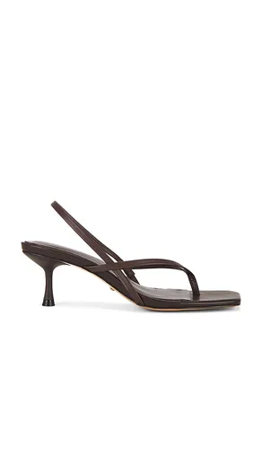 Puce Sandal in Chocolate. - size 10 (also in 6, 7, 8) - RAYE - Modalova