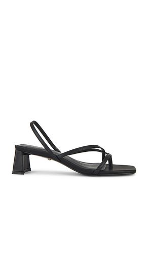 Porter Sandal in . Size 10. Also in 8, 9 - RAYE - Modalova