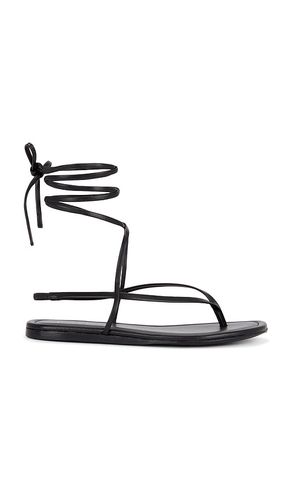 Aditi Sandal in . - size 10 (also in 6, 6.5, 7, 7.5, 8, 8.5, 9) - RAYE - Modalova