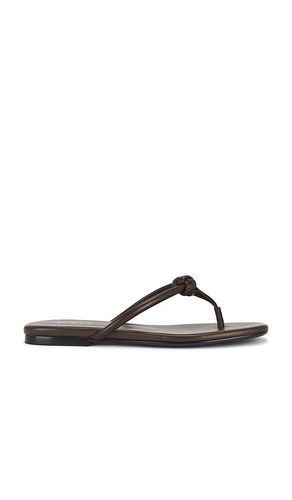 Aarav Sandal in Chocolate. - size 5.5 (also in 6, 6.5, 7, 7.5, 8, 8.5, 9, 9.5) - RAYE - Modalova