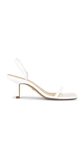 Linz Sandal in . - size 10 (also in 6, 7, 7.5, 8, 8.5) - RAYE - Modalova