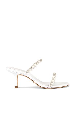 Soren Sandal in . - size 10 (also in 6, 7.5, 8, 8.5, 9.5) - RAYE - Modalova