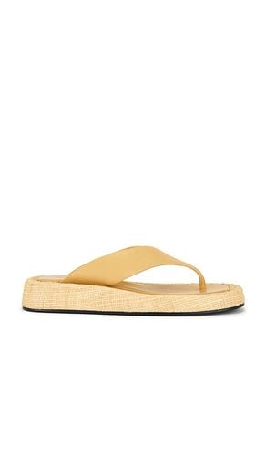 Chris Sandal in Tan. - size 5 (also in 6, 7, 8, 9) - RAYE - Modalova