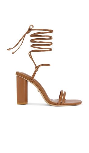 Lysiane Sandal in . - size 10 (also in 6, 7.5, 8, 8.5, 9, 9.5) - RAYE - Modalova