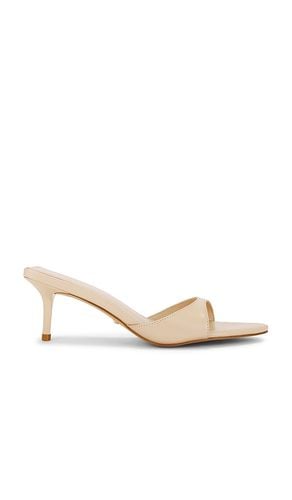 Chad Sandal in . - size 5.5 (also in 6, 7, 7.5, 8, 8.5, 9, 9.5) - RAYE - Modalova