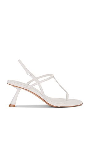 Ellie Sandal in . - size 10 (also in 6.5, 7, 7.5, 8, 8.5, 9, 9.5) - RAYE - Modalova