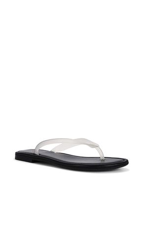 Orion Sandal in . - size 6 (also in 6.5, 7, 7.5, 8, 8.5, 9, 9.5) - RAYE - Modalova