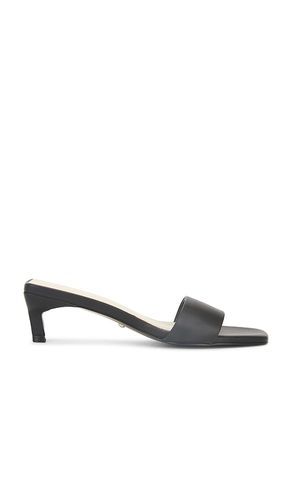 Elisheva Sandal in . - size 10 (also in 5, 5.5, 6, 6.5, 7, 7.5, 8, 8.5, 9, 9.5) - RAYE - Modalova