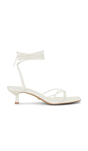 Jaden Sandal in . - size 6.5 (also in 5.5, 7, 7.5) - RAYE - Modalova