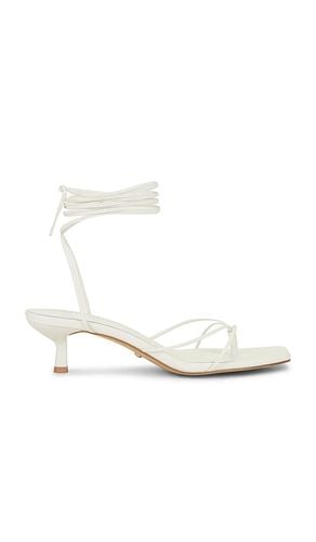 Jaden Sandal in . - size 6 (also in 5.5, 6.5, 7) - RAYE - Modalova