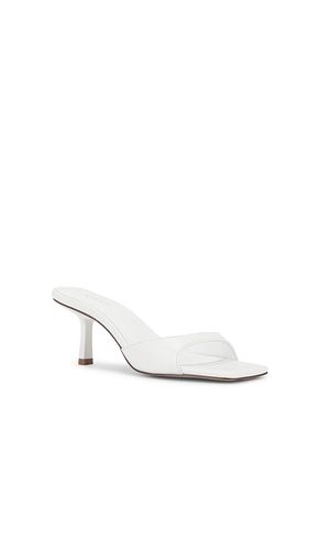 Jocey Mule in . Size 7. Also in 7.5 - RAYE - Modalova